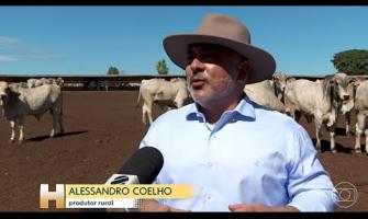 Embedded thumbnail for Alta na produção de carne - reportagem Jornal Hoje